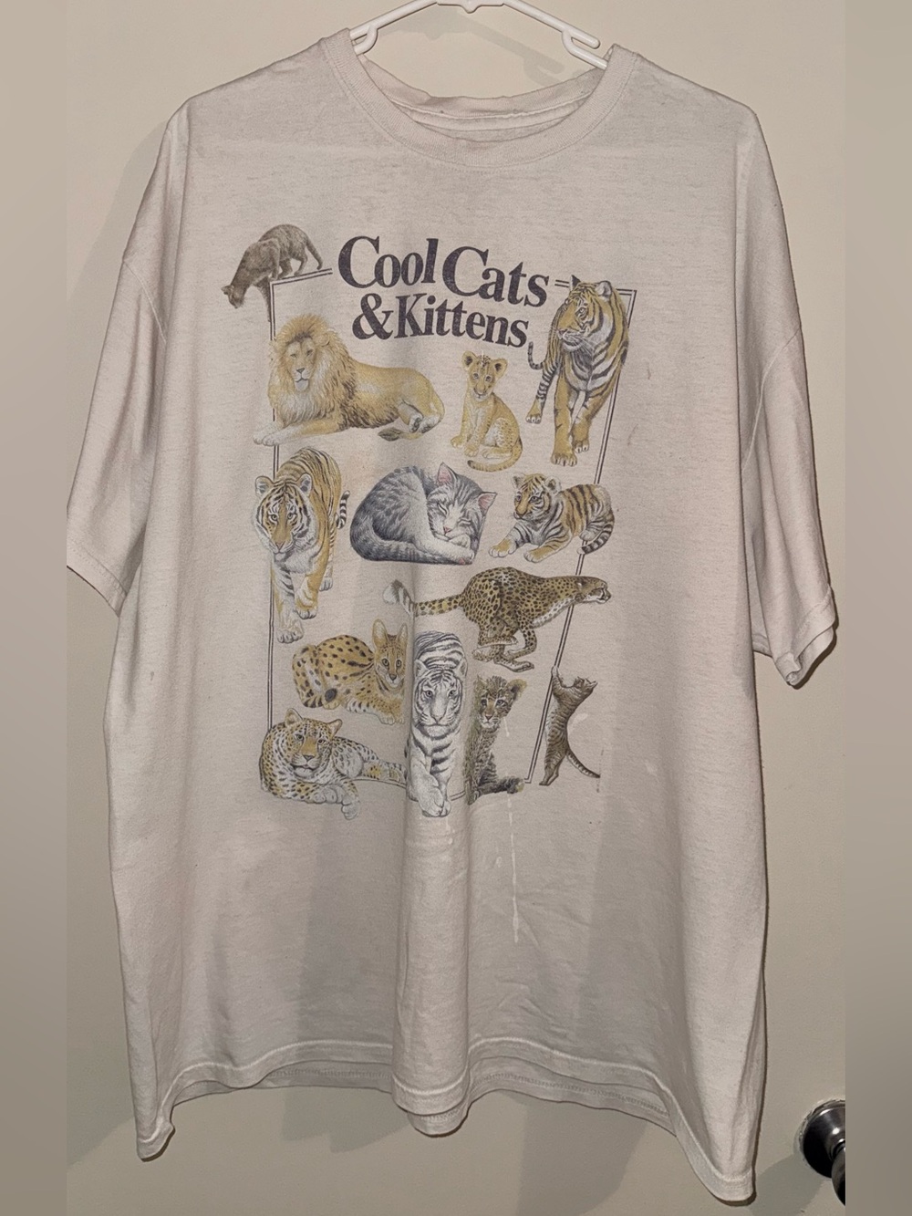 Cool Cats & Kittens Graphic Tee - White